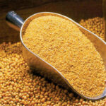 SOYBEAN MEAL